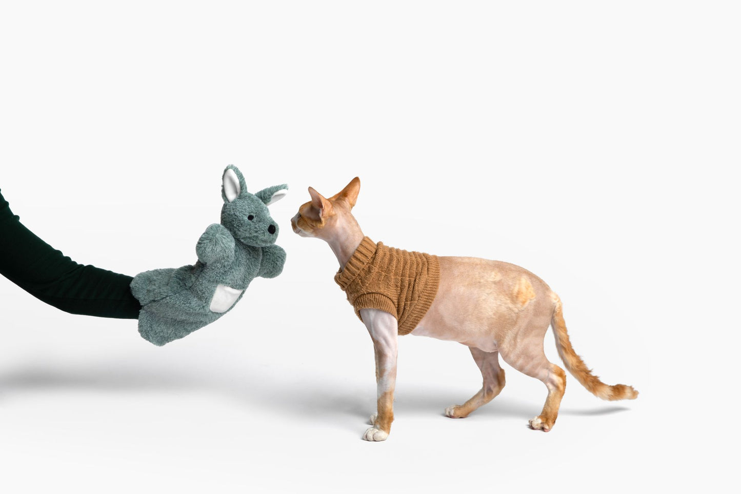 Paw Puppets™ Cat Toy